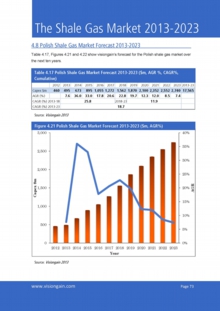 VGN033ウェブ画像_Sample pages from The Shale Gas Market 2013-2023.jpg
