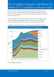 VGN034_ウェブ画像Sample pages from The 20 Leading Companies in the Natural Gas Market 2013.jpg