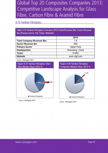 VGN035ウェブ画像 Sample pages from Global Top 20 Composites Companies 2013.jpg