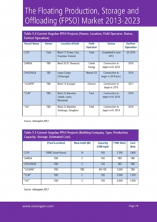 VGN090_Sample pages from The FPSO Market 2013-2023.jpg