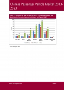 VGN053_Sample pages from Chinese Passenger Vehicle Market 2013-2023.jpg