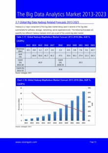 VGN100_Sample pages from The Big Data Analytics Market 2013-2023.jpg