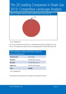 VGN103_Sample pages from The 20 Leading Companies in Shale Gas 2013.jpg