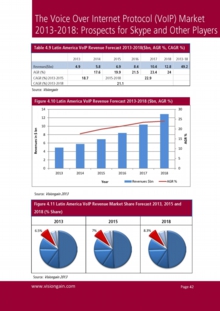 VGN106_Sample pages from The Voice Over Internet Protocol (VoiP) Market 2013-2018.jpg
