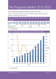 VGN051_Sample pages from The Proppants Market 2013-2023.jpg